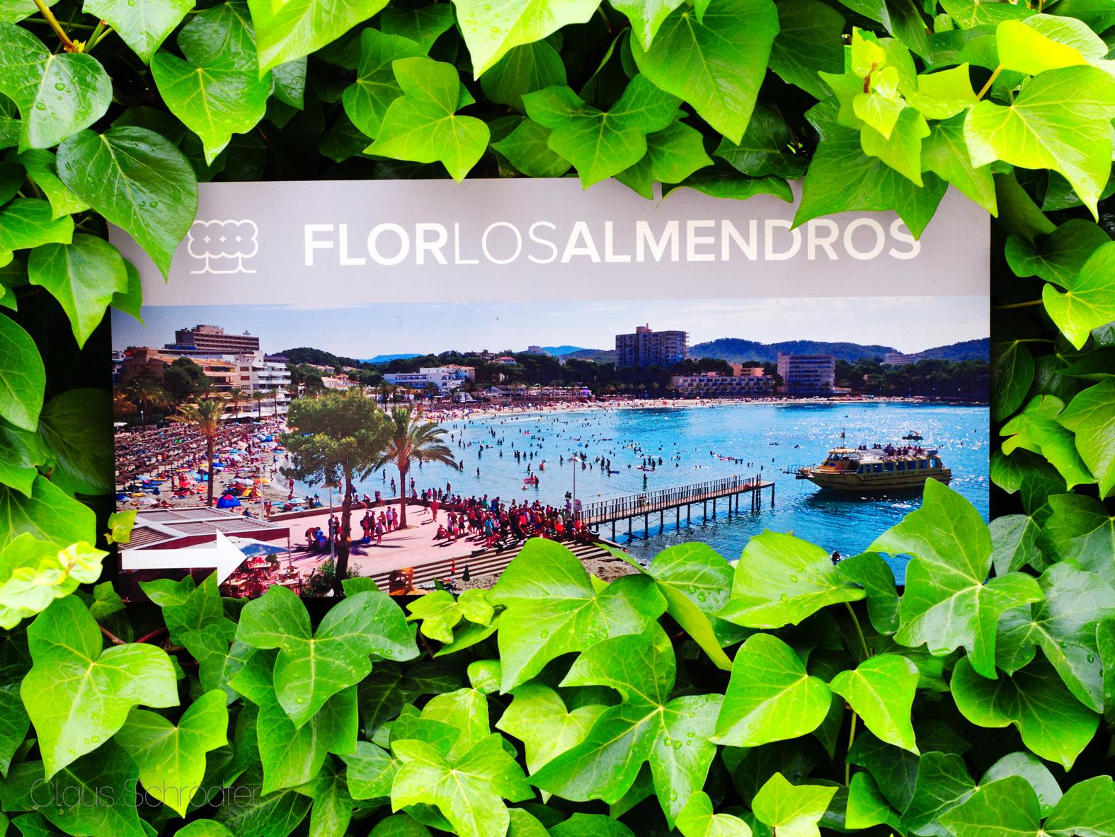Flor Los Almendros Hotel Peguera Exterior foto